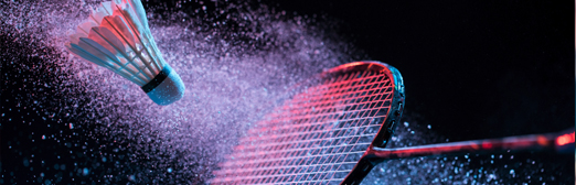 Badminton_blurb