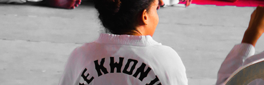 Taekwondo_blurb